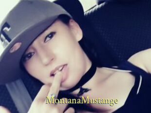 MontanaMustange