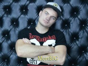 MortBIG