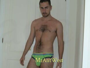 MrAntWest