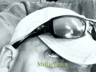 MrBigVoice