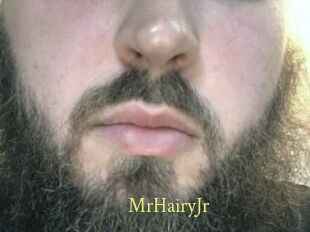 MrHairyJr