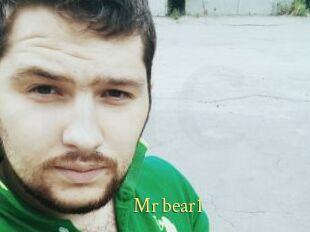 Mr_bear1