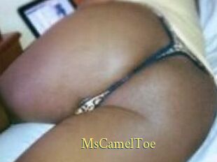 MsCamelToe