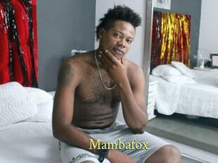 Mambafox