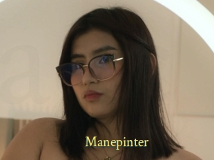 Manepinter