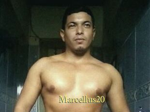 Marcellus20