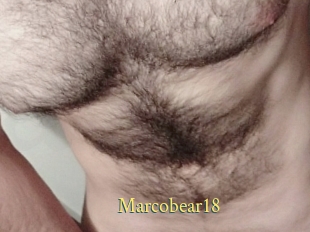 Marcobear18