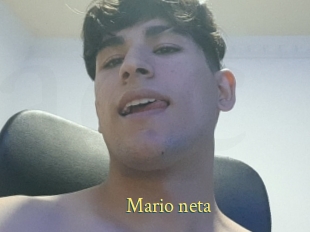 Mario_neta