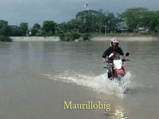 Maurillobig