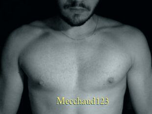 Mecchaud123