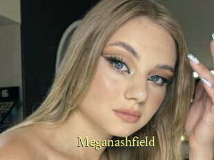 Meganashfield
