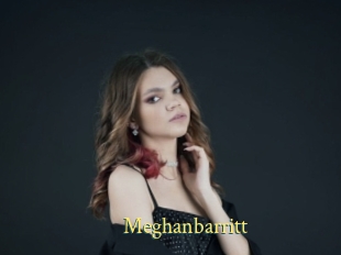 Meghanbarritt