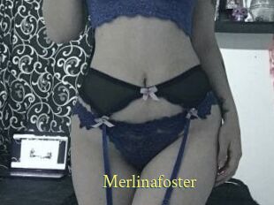 Merlinafoster