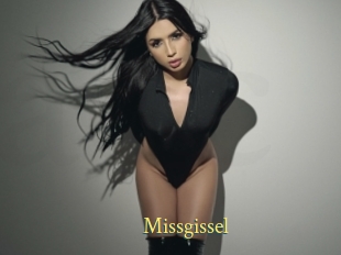 Missgissel
