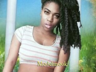 Modelmook
