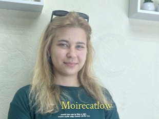 Moirecatlow