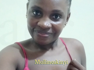 Mollineakinyi