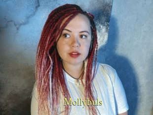 Mollybuls