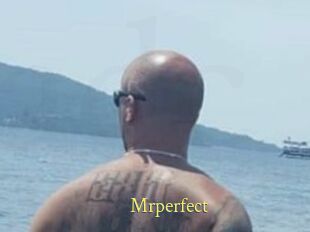 Mrperfect