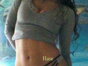 Hase