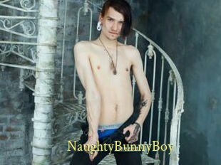 NaughtyBunnyBoy