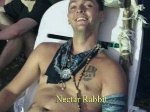 Nectar_Rabbit