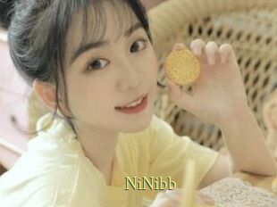 NiNibb