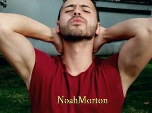NoahMorton
