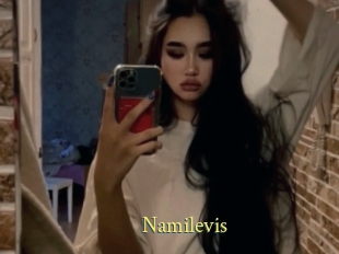 Namilevis