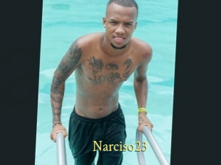 Narciso23