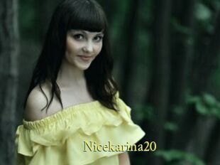 Nicekarina20