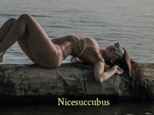 Nicesuccubus