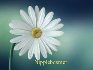 Nipplebdsmer