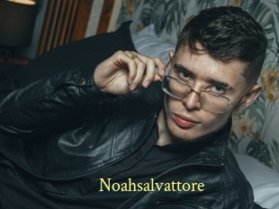 Noahsalvattore
