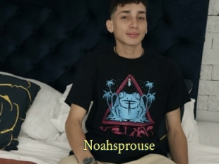 Noahsprouse