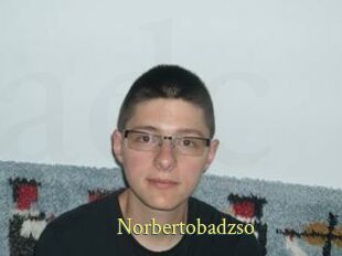 Norbertobadzso