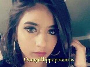 OrangeHippopotamus