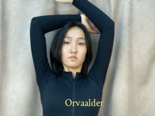 Orvaalder