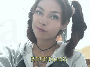PITUFINA1223