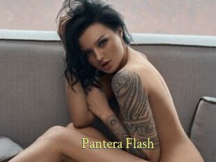Pantera_Flash