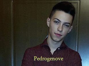 Pedrogenove