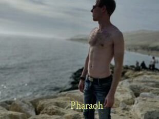 Pharaoh