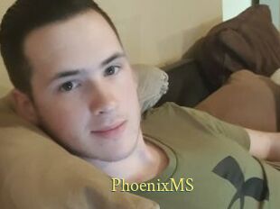 PhoenixMS