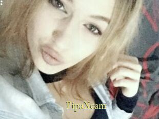 PipaXcam