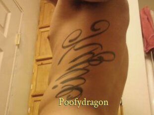 Poofydragon