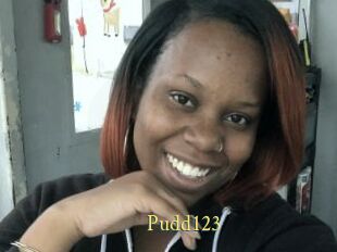Pudd123