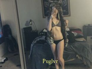 Puglvr
