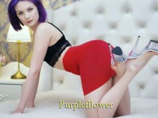 Purplefllower