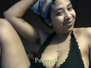 Pussaygalore