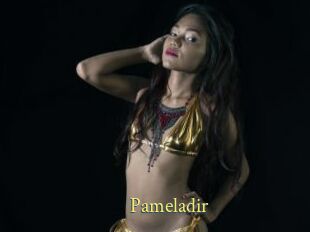 Pameladir